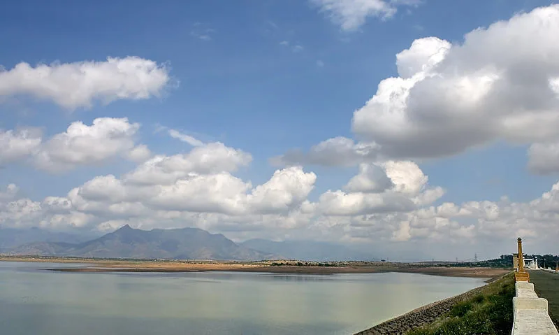 Amaravathi Dam Crocodile Park Tirupur