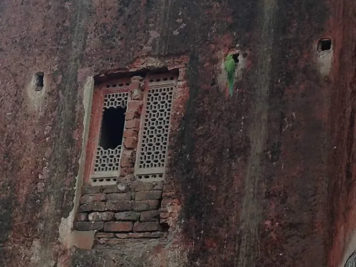 Bahadurgarh Fort Patiala