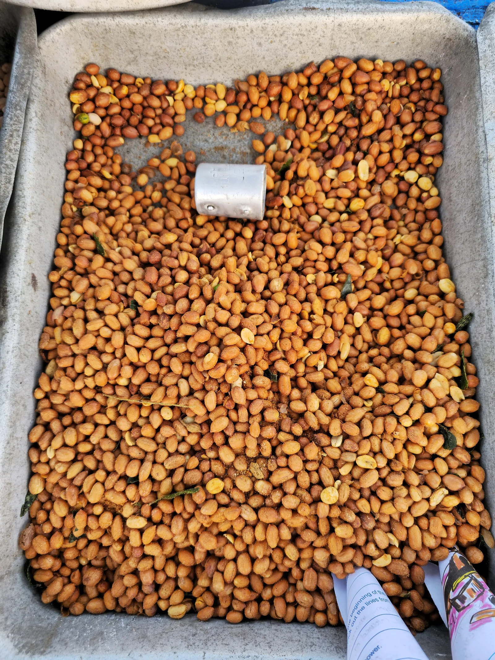 Bharuchi Sing Roasted Peanuts