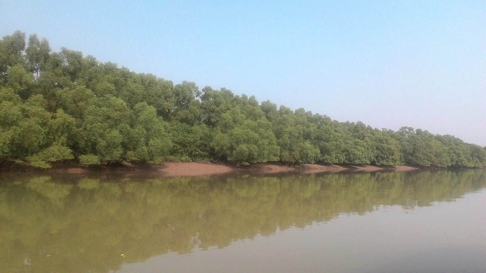 Bhitarkanika Wetland Birds