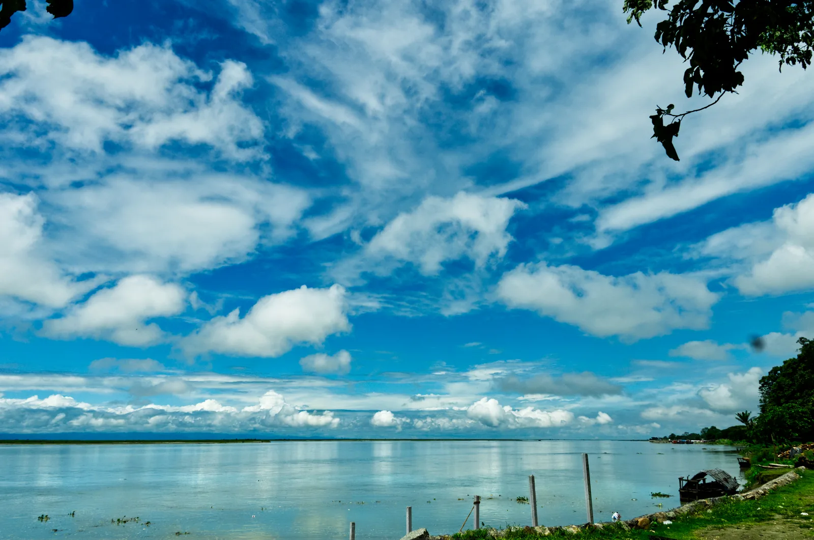 Brahmaputra Riverfront and Eastern Himalayan Foothills