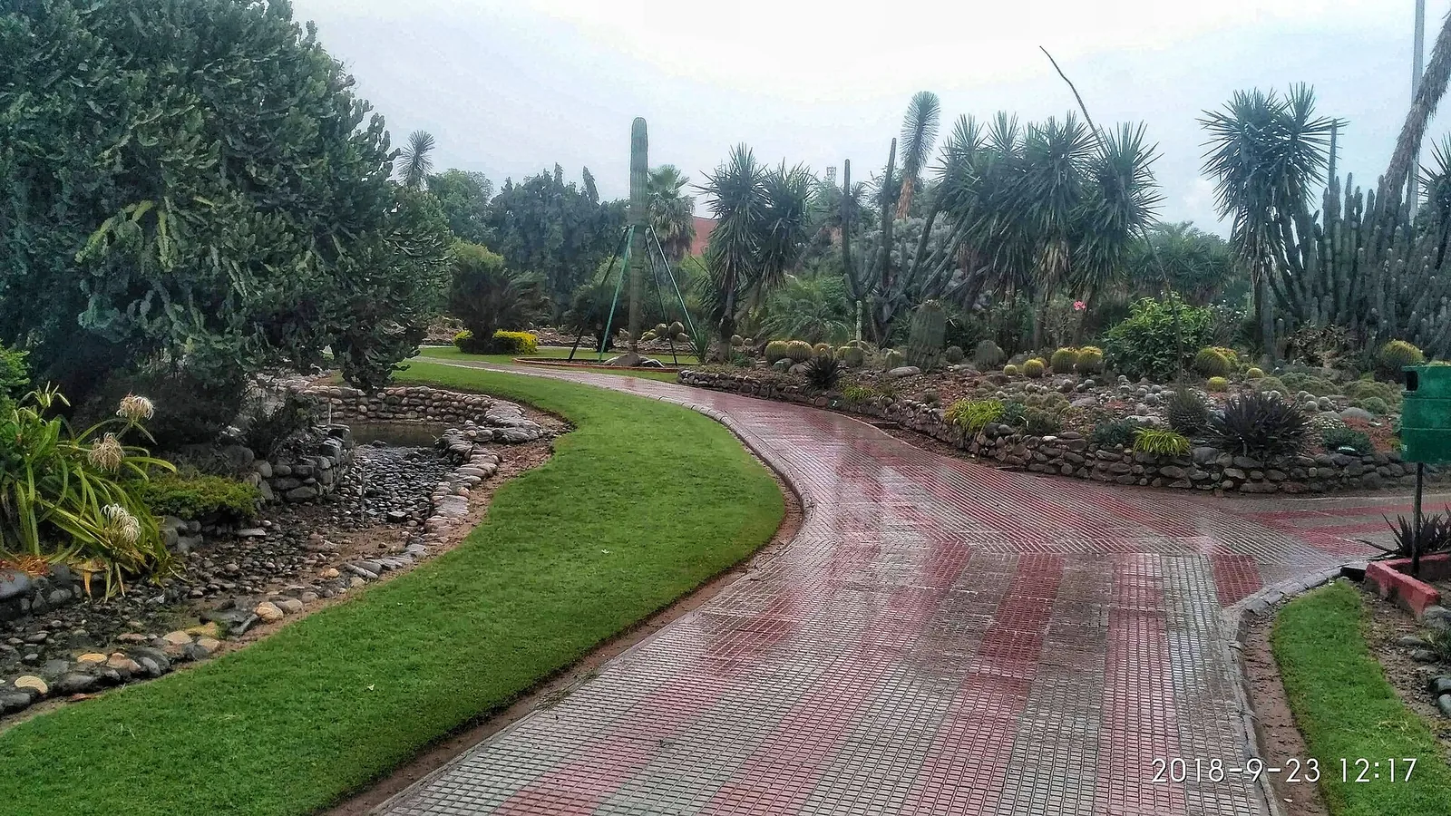 National Cactus Garden Panchkula