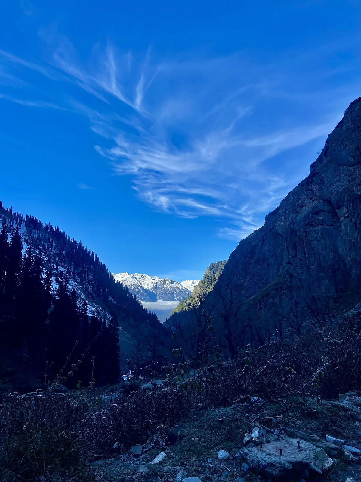 Chandanwari Pahalgam