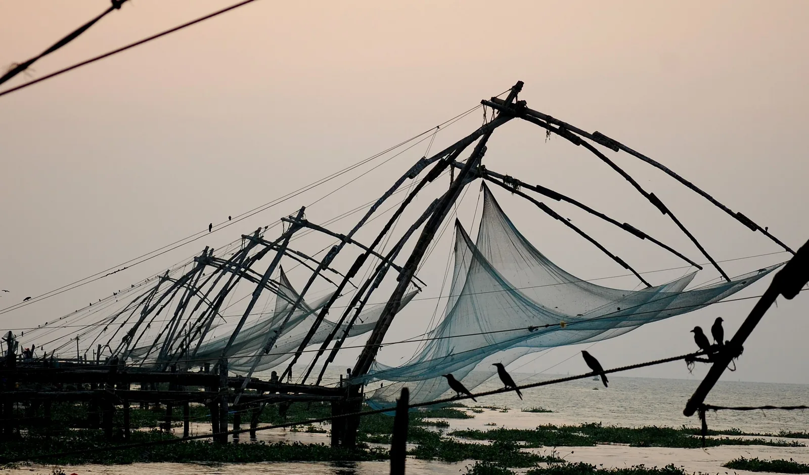 Cochin