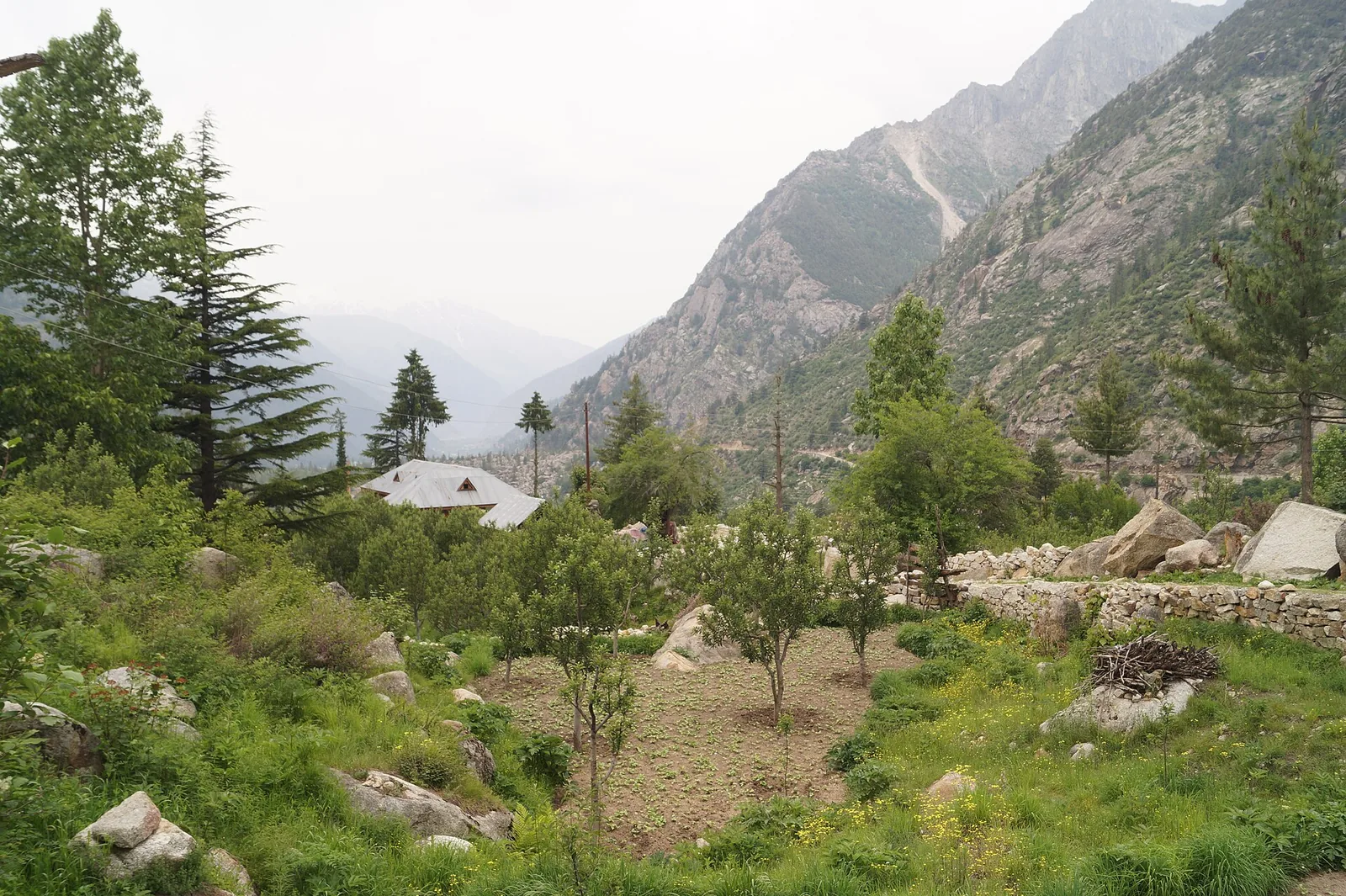 Chitkul Village Kinnaur