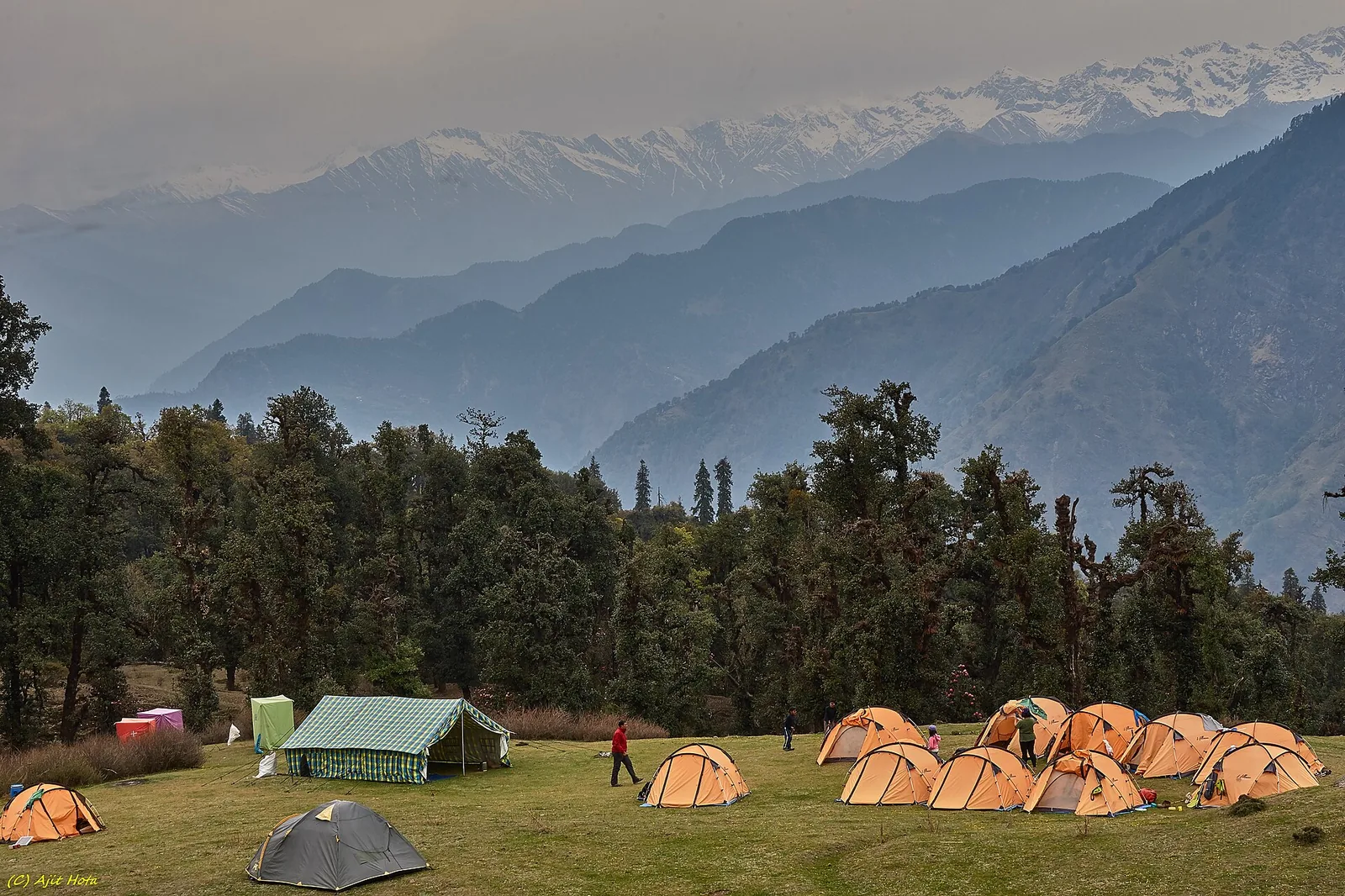 Chopta Bugyal Meadows