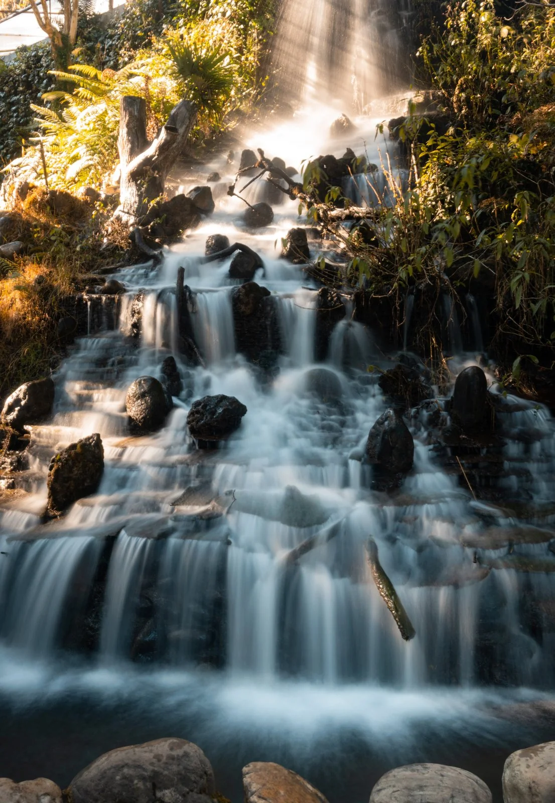 Mussoorie Mountain Ridges and Alpine Flora