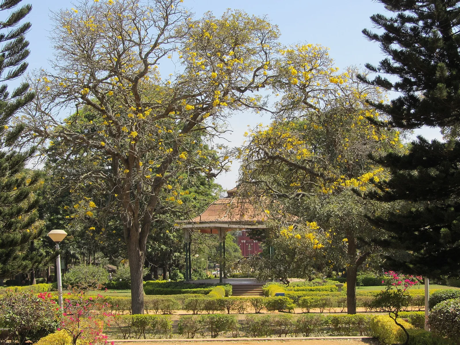 Cubbon Park Bangalore