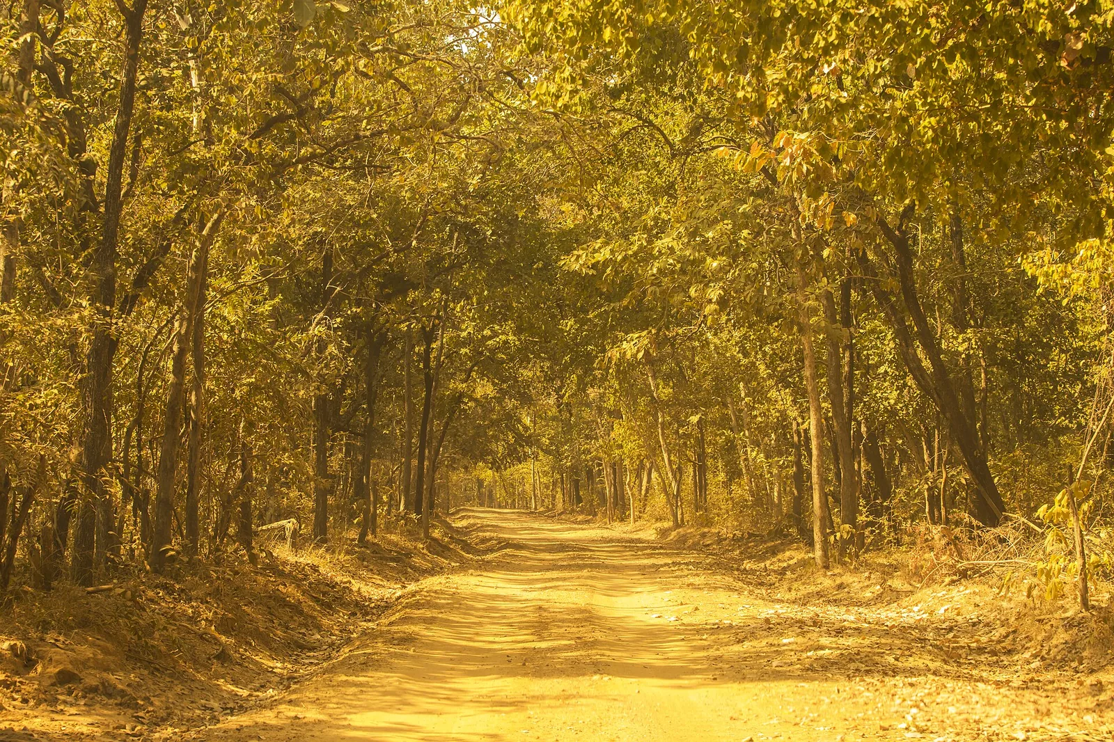 Debrigarh Wildlife Sanctuary Sambalpur