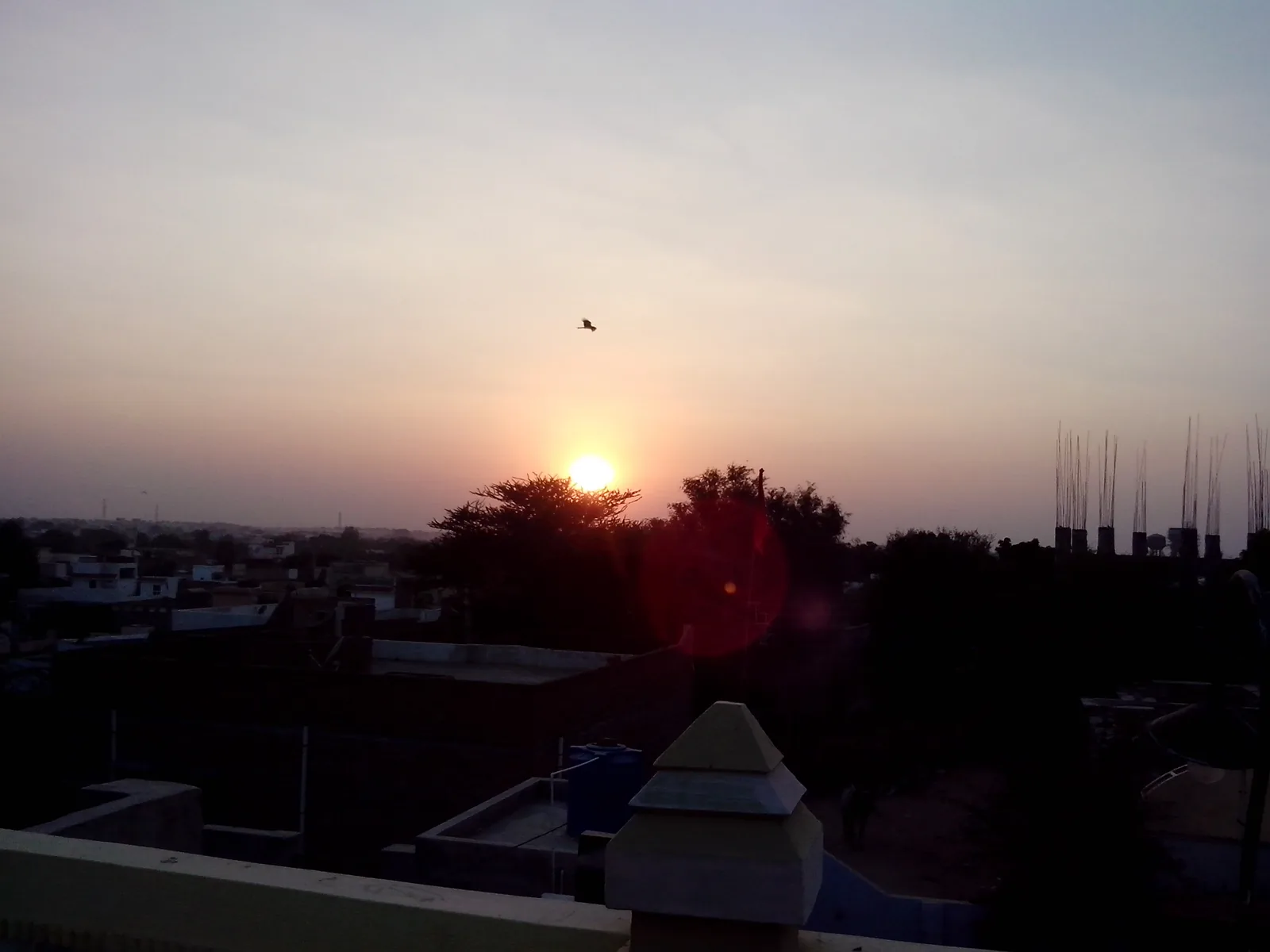 Thar Desert Golden Sand Dunes and Sunset Oasis Churu