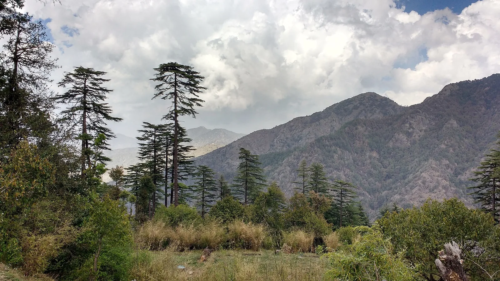 Dhanaulti Eco Park