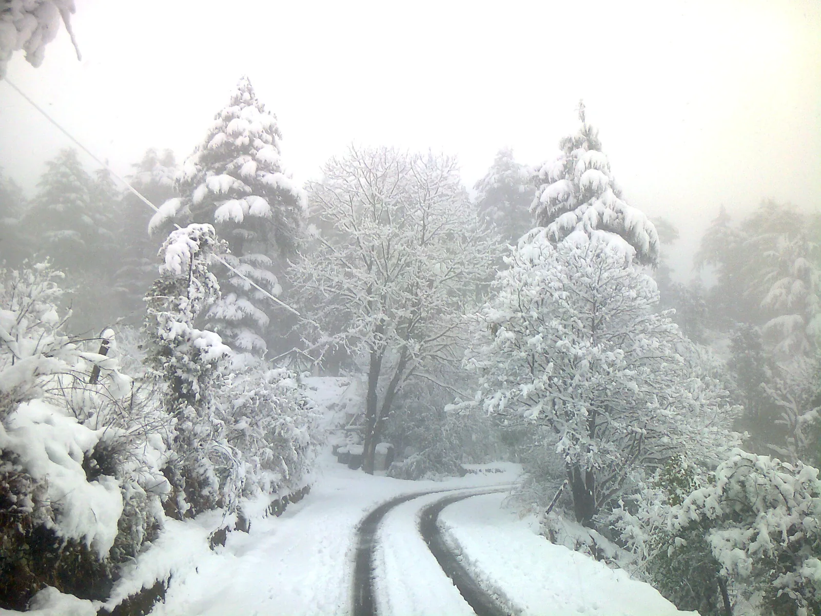 Winter Snowfall in Dhanaulti Uttarakhand
