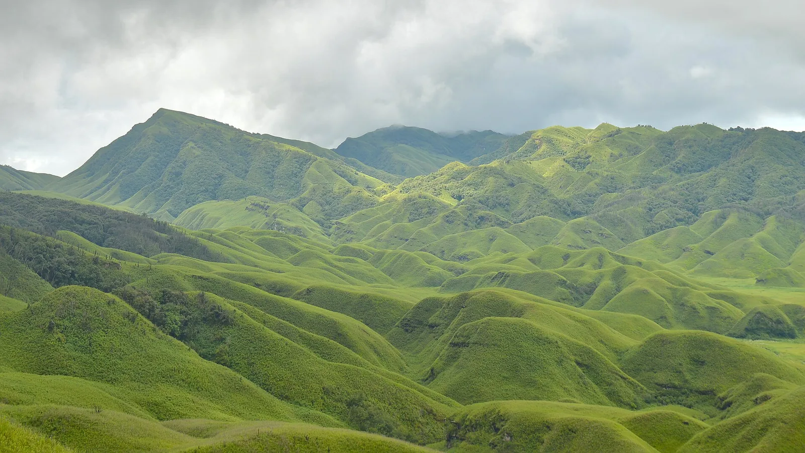 Dzukou Valley Nagaland