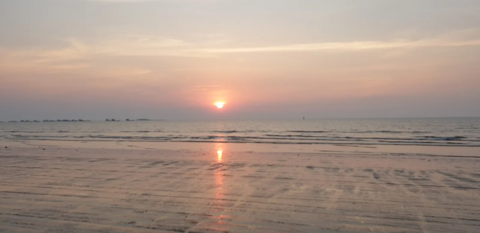 Gorai Beach Palm Fringed Sandy Shoreline in Mumbai Maharashtra