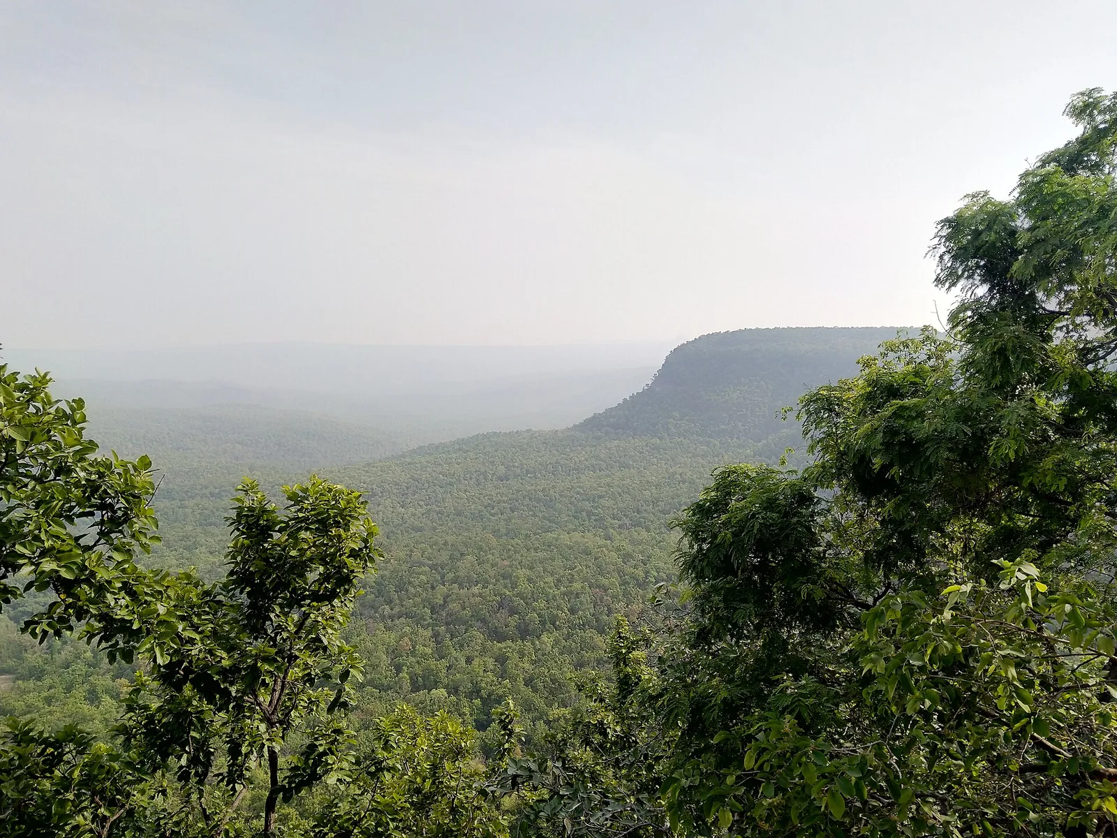 Hasdeo Bango Dam Satrenga Korba