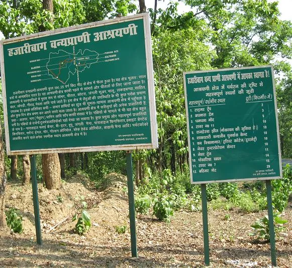 Hazaribagh National Park Gate