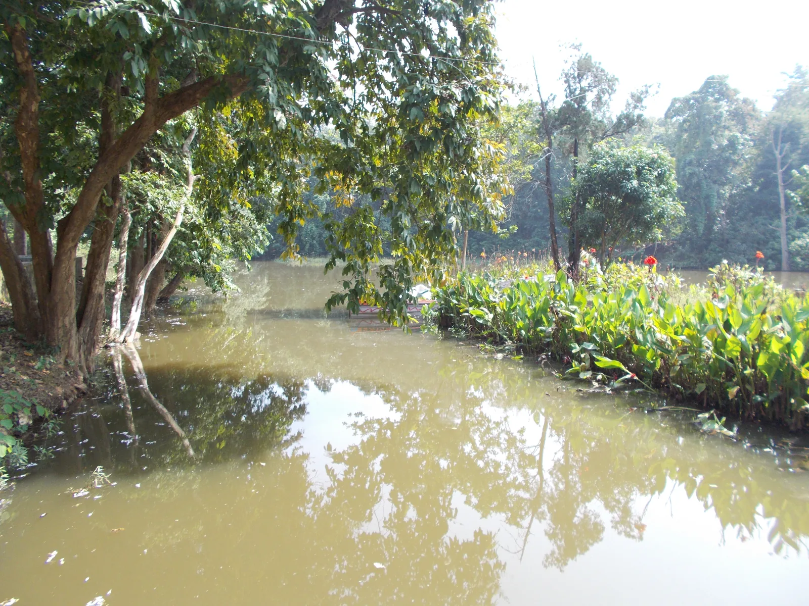 Hazaribagh Wildlife Sanctuary Woodland Landscape and Habitat