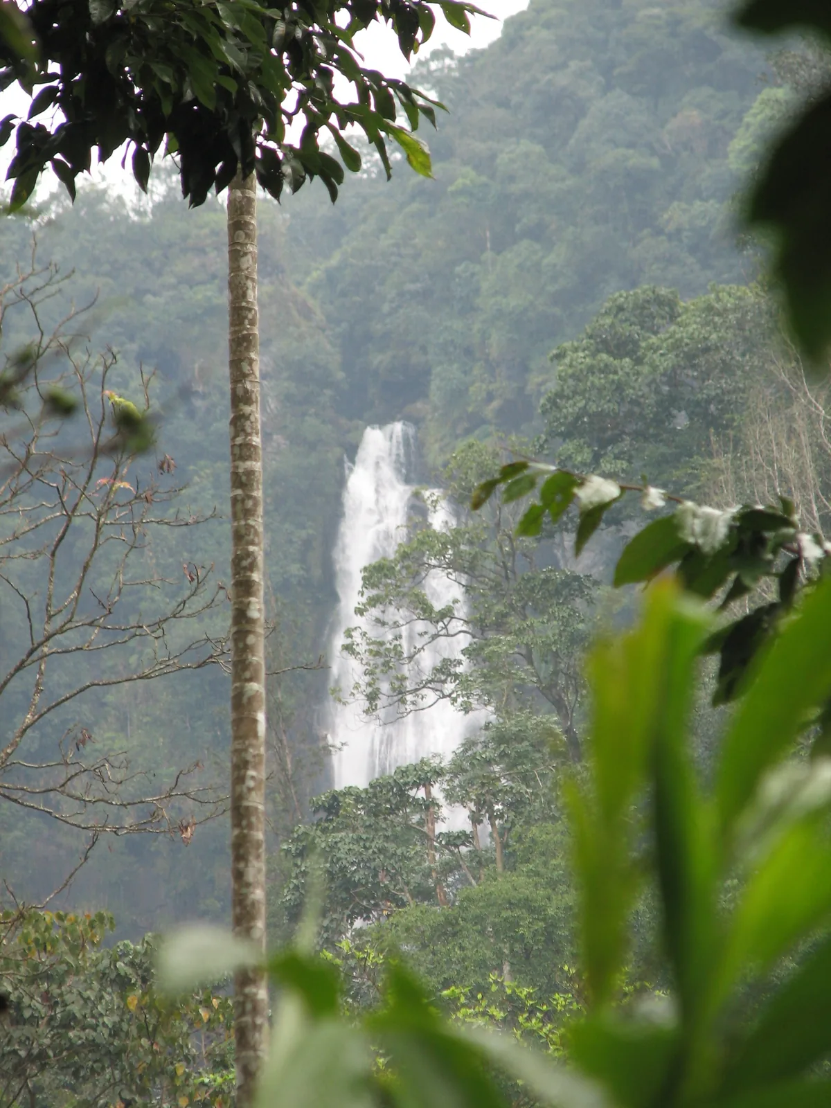 Hebbe Falls Chikmagalur