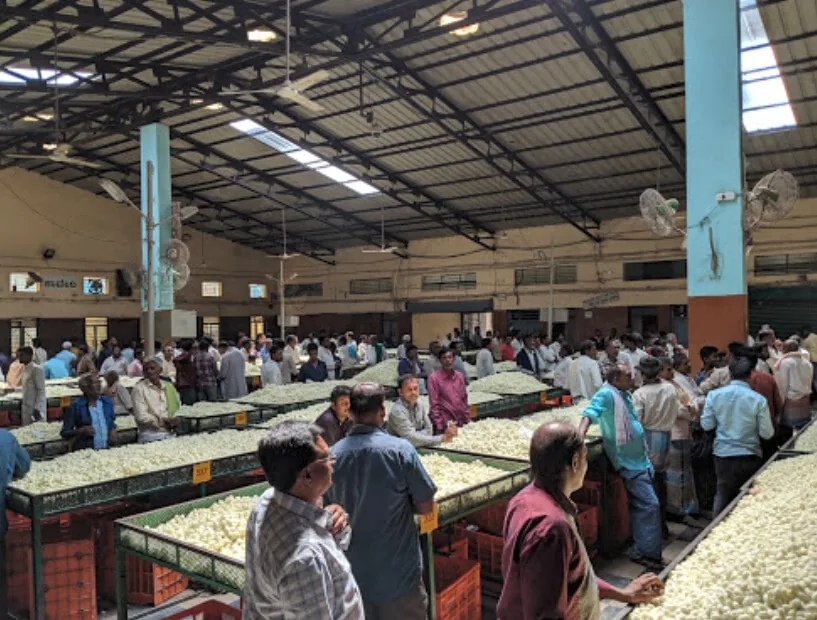 Famous Hindupur Silk Cocoon Market and Raw Mulberry Silk Reeling Guilds