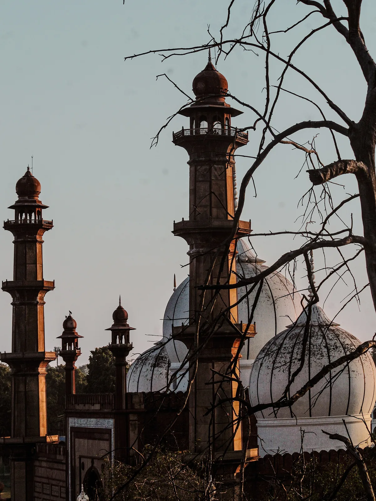 Jama Masjid Aligarh