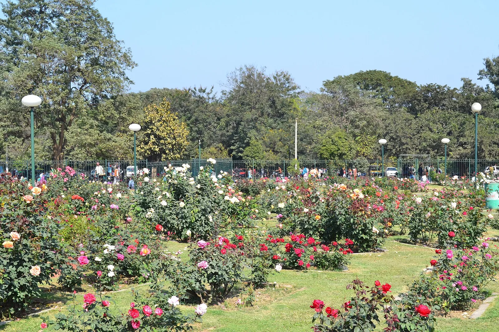 Jubilee Park Lake Jamshedpur