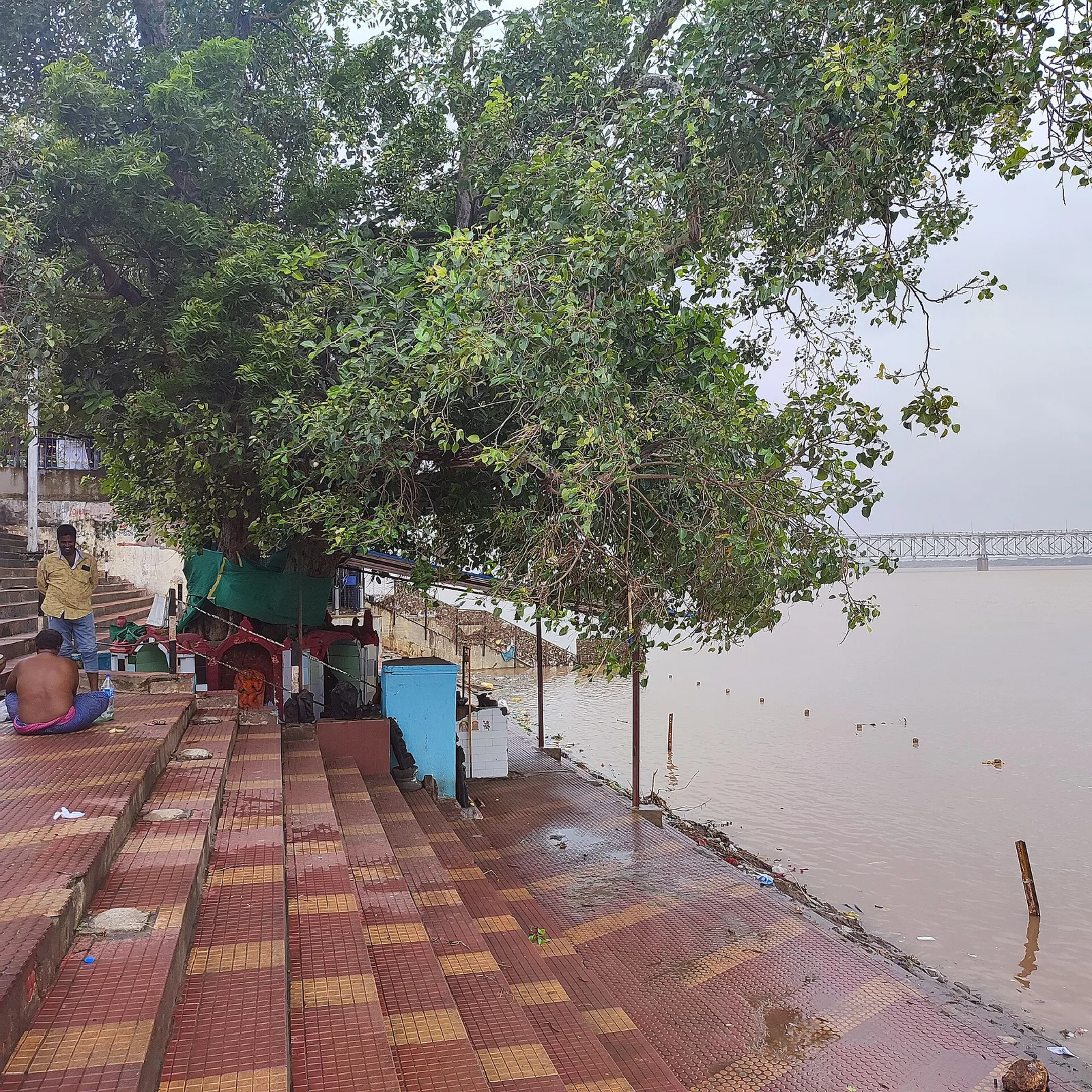 Kadiyam Nurseries Rajahmundry