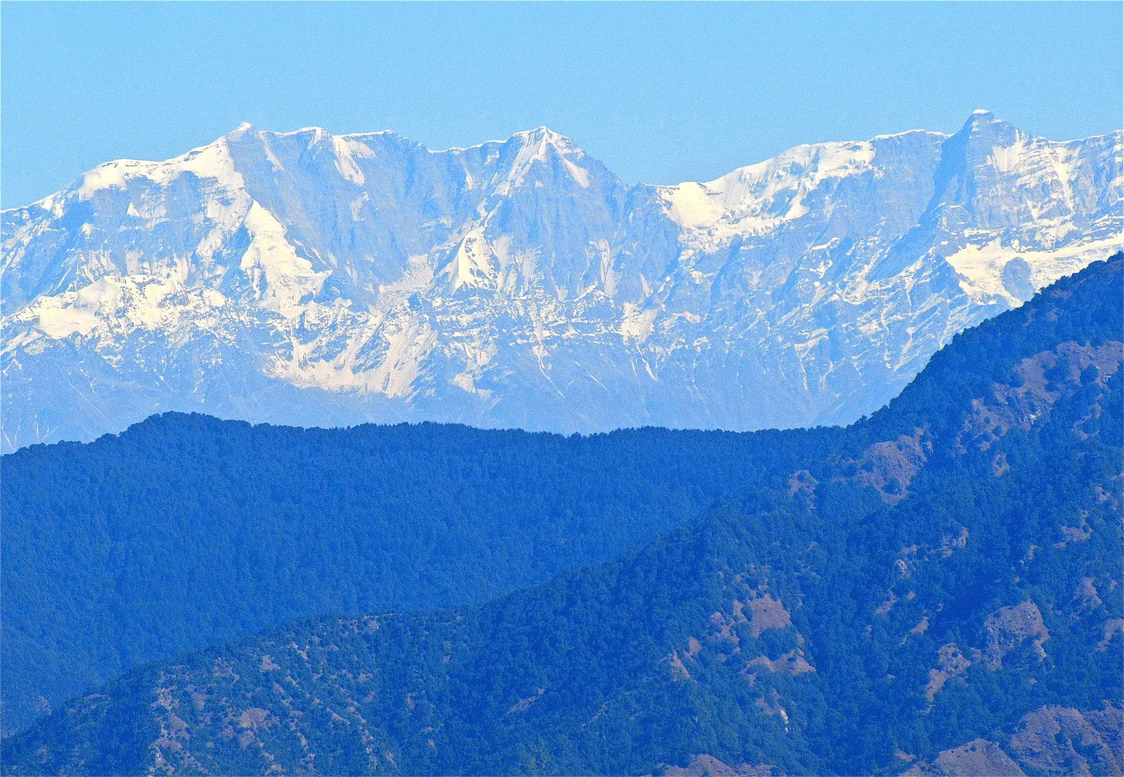 Kaudia Forest Kanatal
