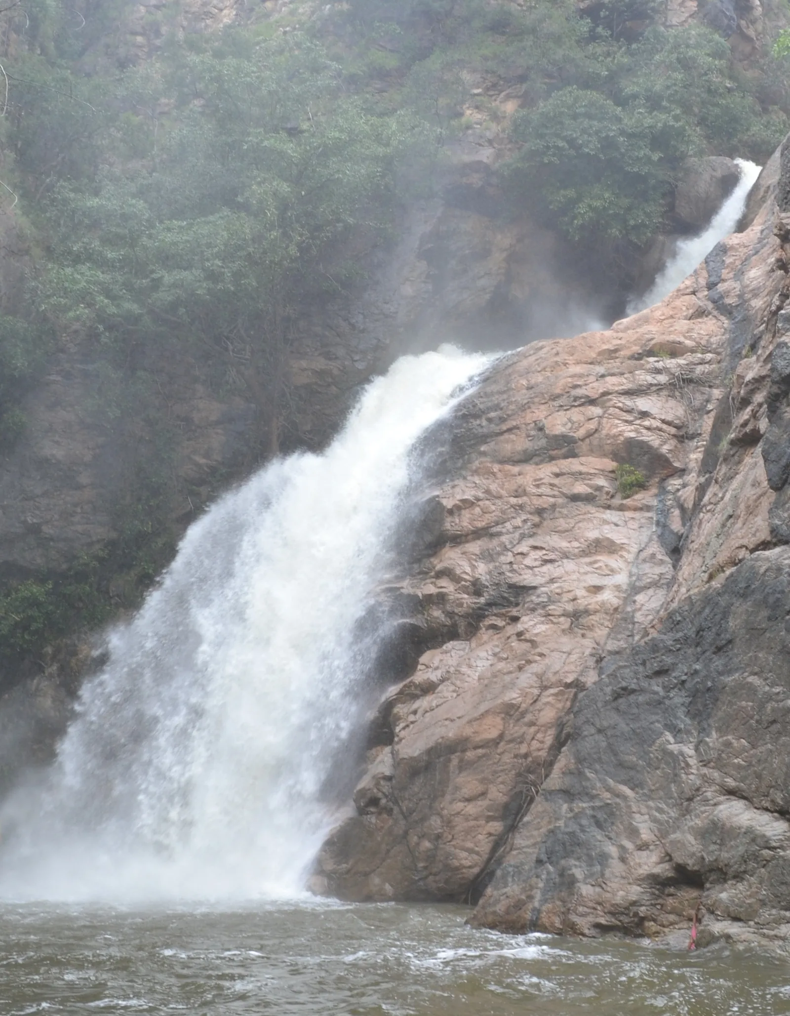 Kaundinya Wildlife Sanctuary Chittoor