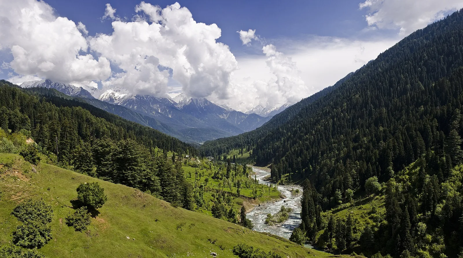 Lidder River Pahalgam
