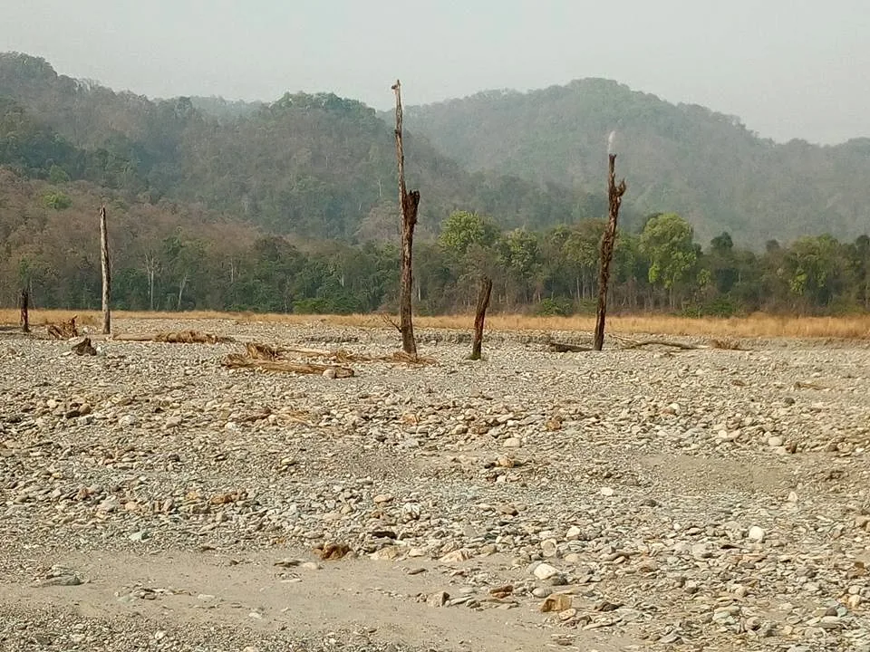 Mahananda Wildlife Sanctuary Siliguri