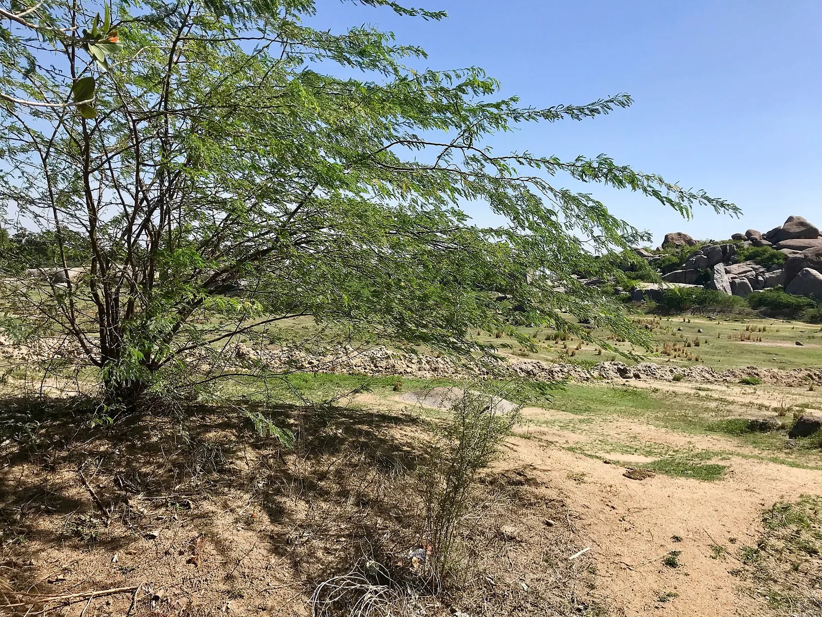 Mahendravadi Rock Cut Temple Ranipet