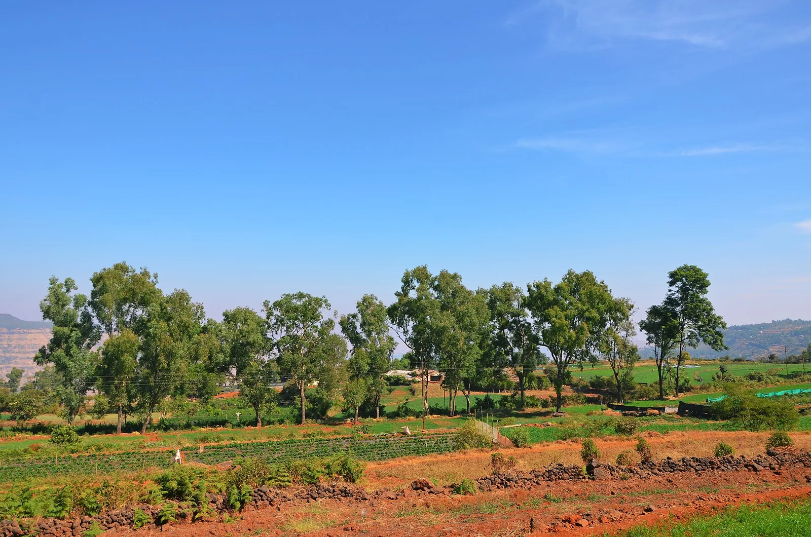 Mapro Garden Panchgani