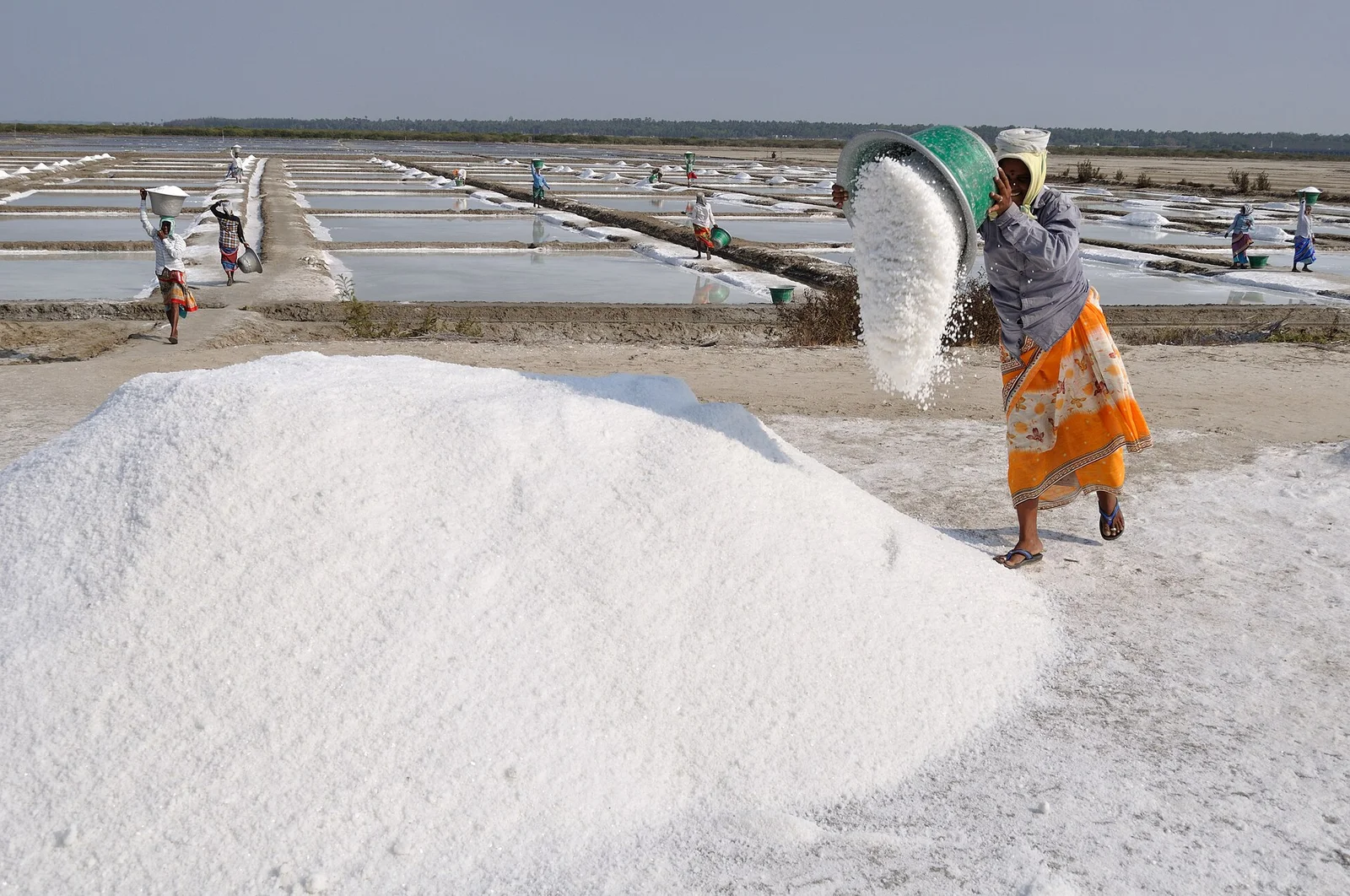 Salt workers harvesting salt at Marakkanam