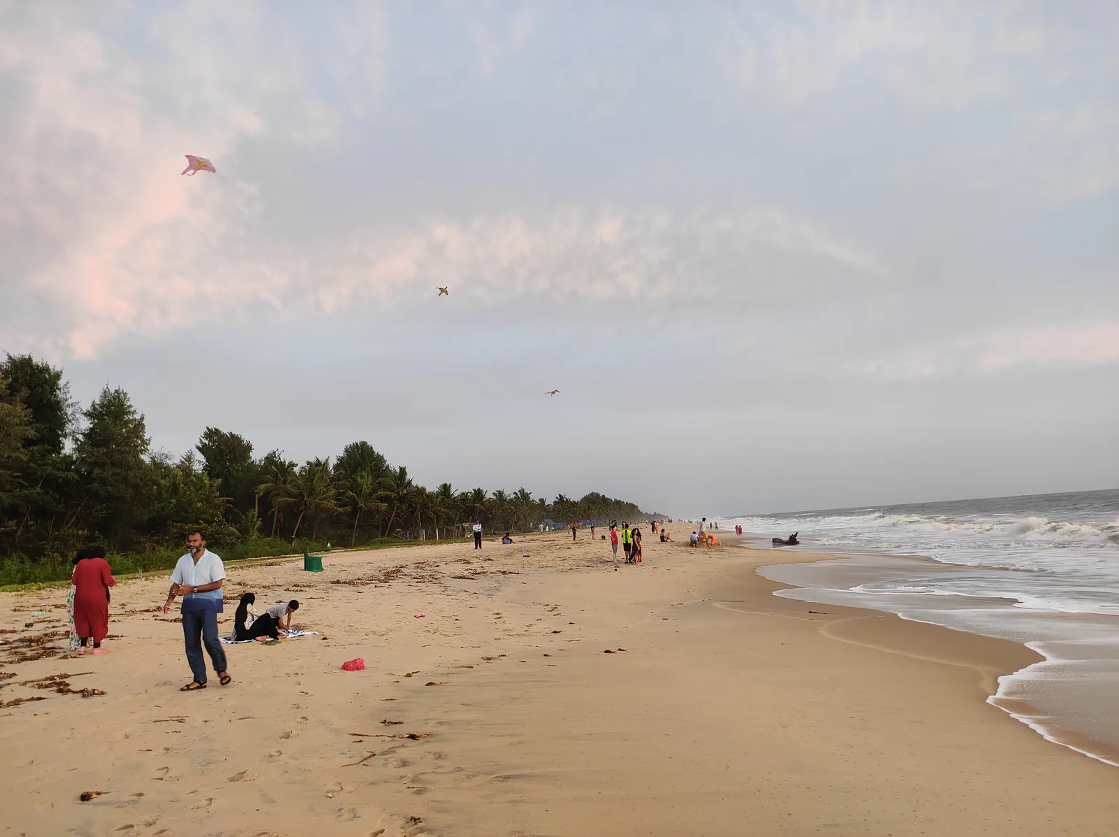 Marari Beach Sunset Palm Trees Alleppey