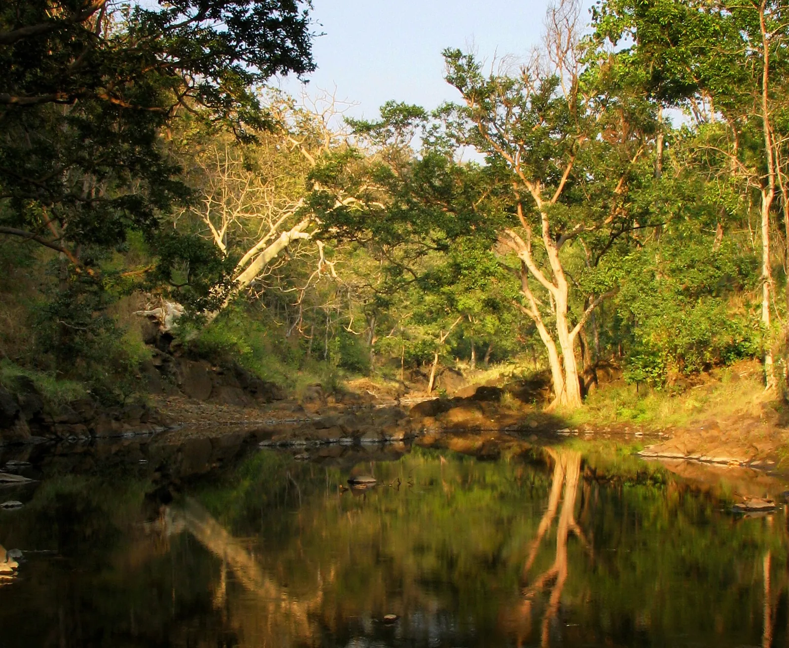 Melghat Tiger Reserve Amravati