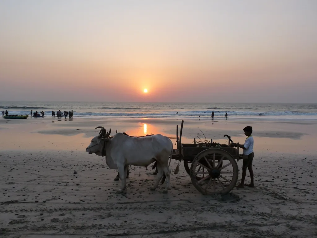 Kashid Beach Alibaug