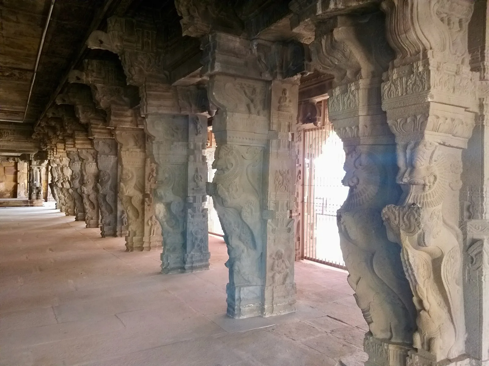 Nallamala Forest Hills Nandyal