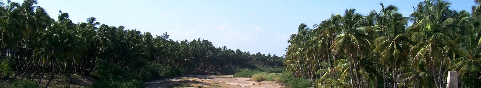 Noyyal River Textile Tirupur