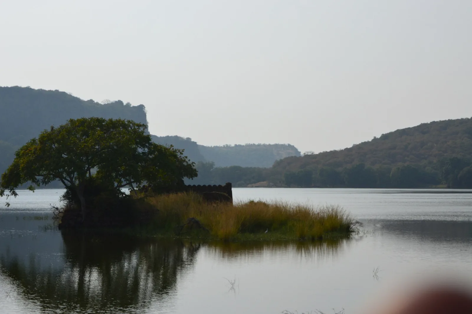 Padam Talao Ranthambore