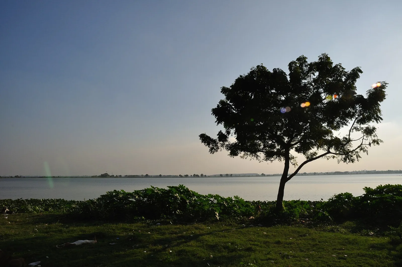Scenic Padmabila Lake Wetland and Lotus Bird Sanctuary