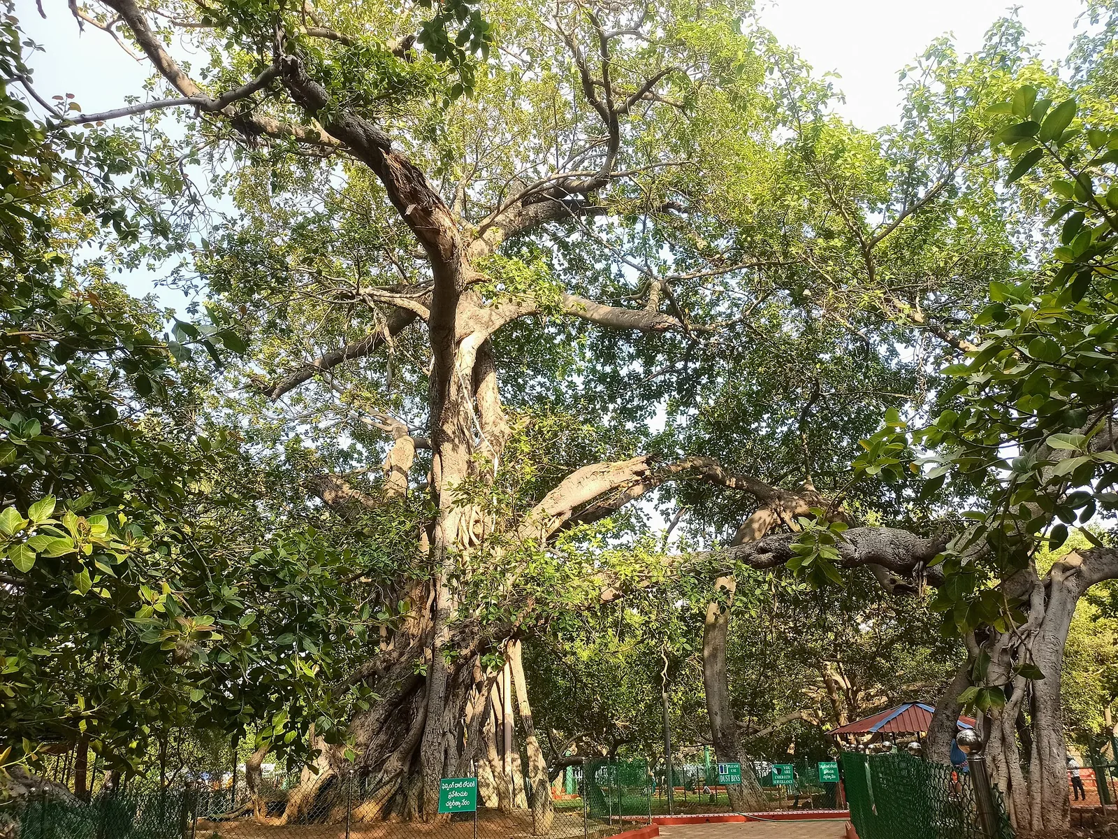 Mahbubnagar