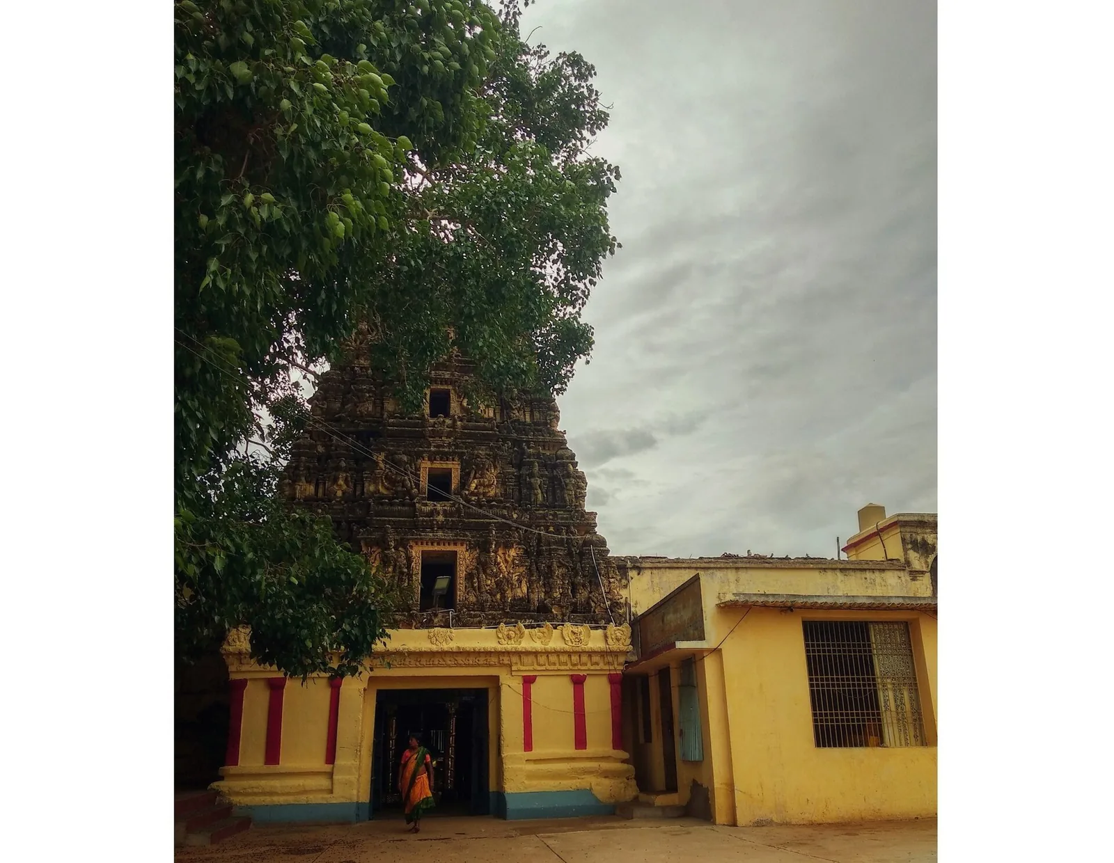 Nellore