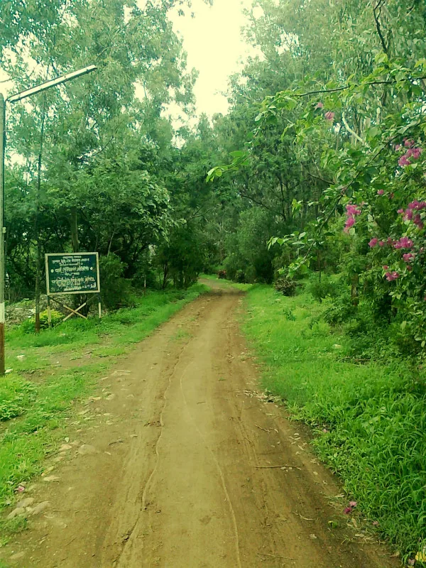 Satpura Mountain Ranges near Raver