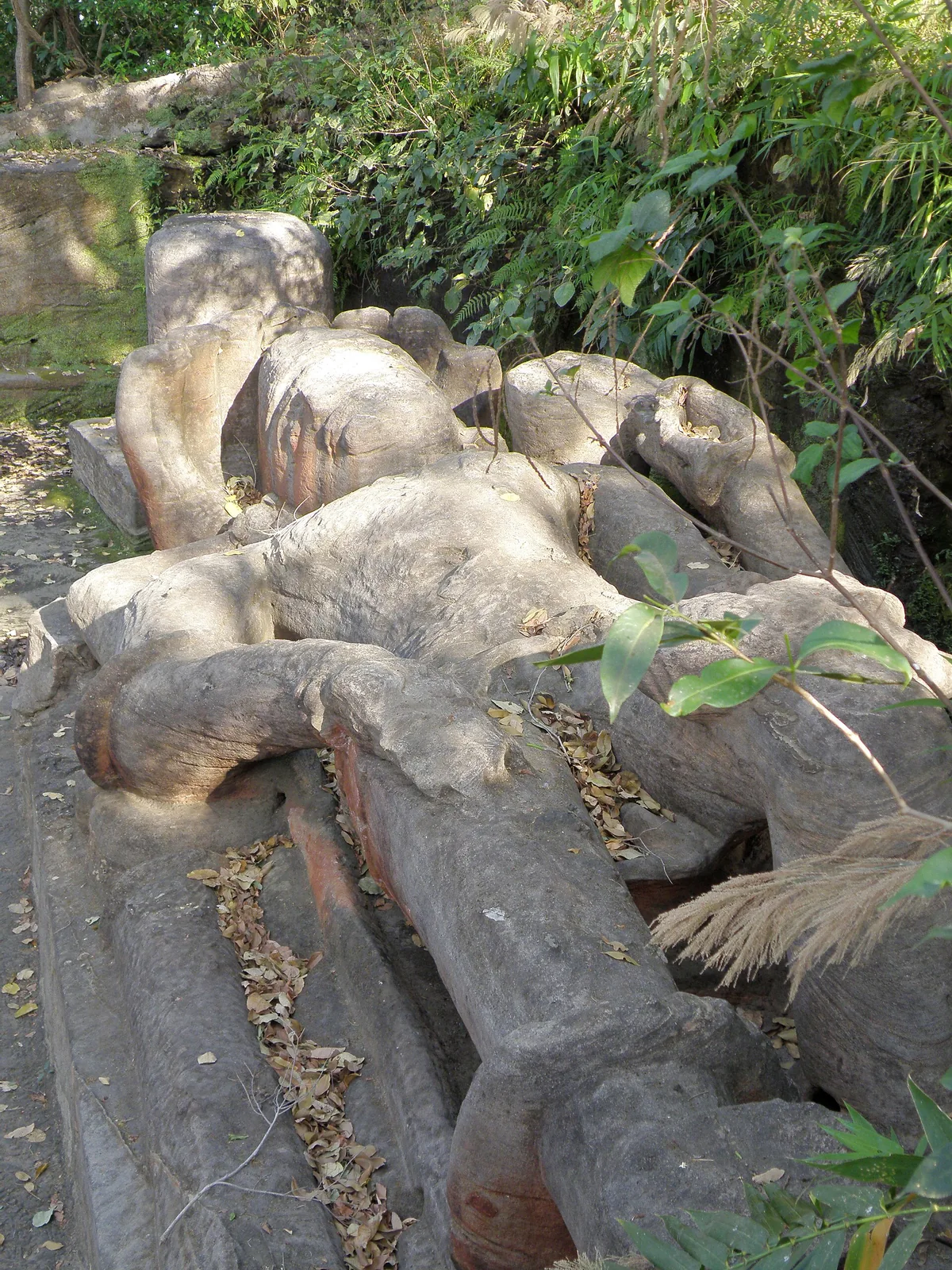 Shesh Shaiya Bandhavgarh