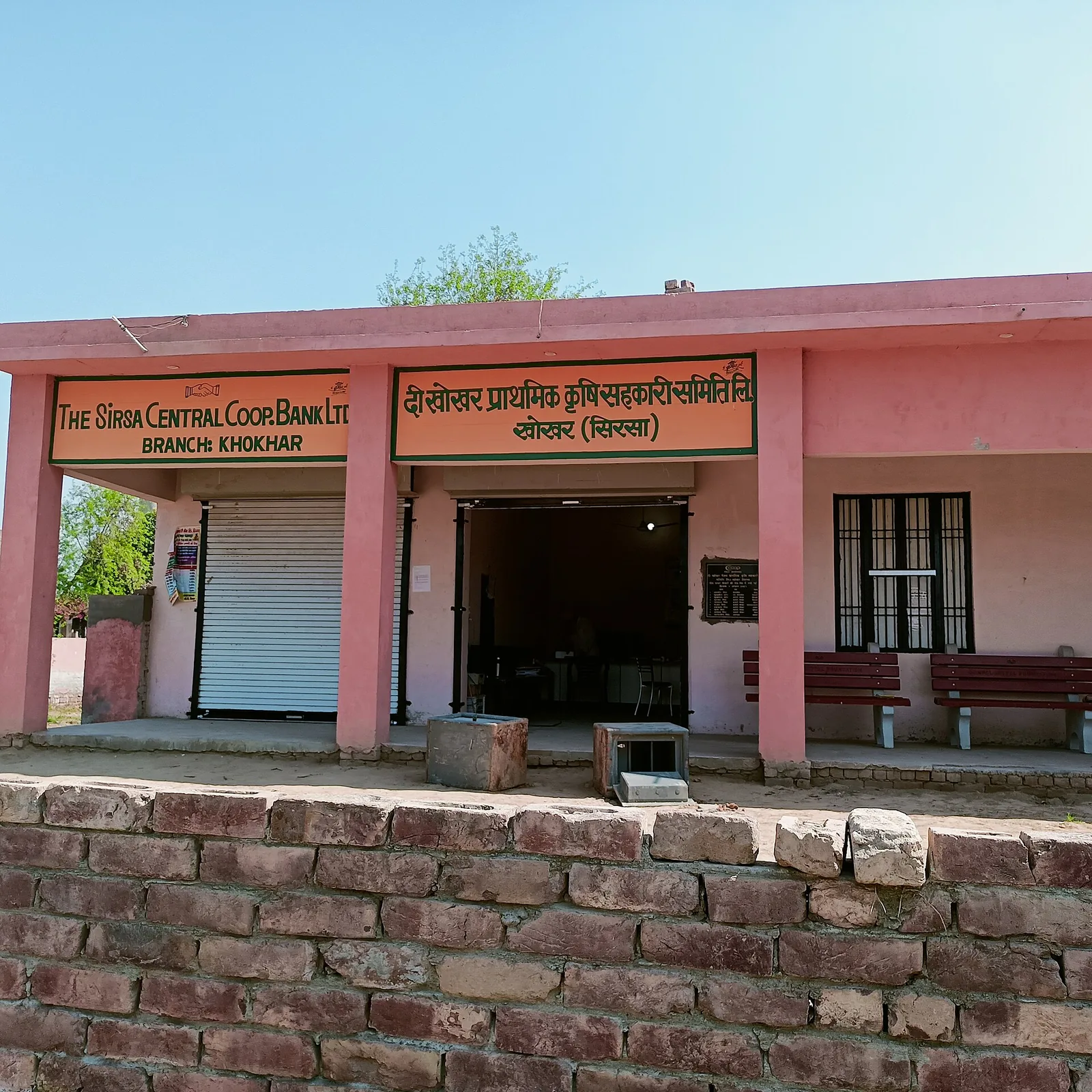 Sirsa Kinnow and Mustard Farming