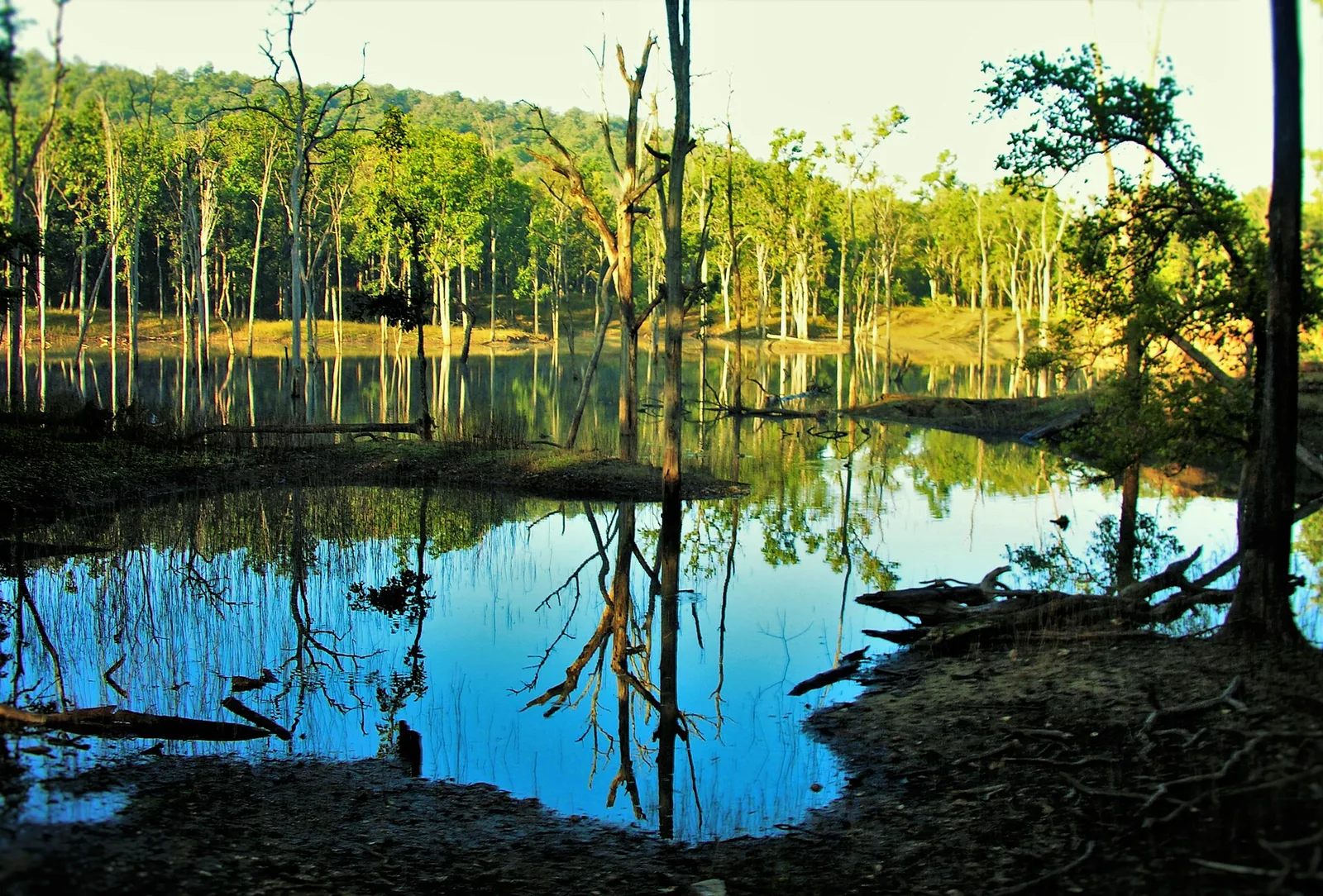 Sitaghat Pench River