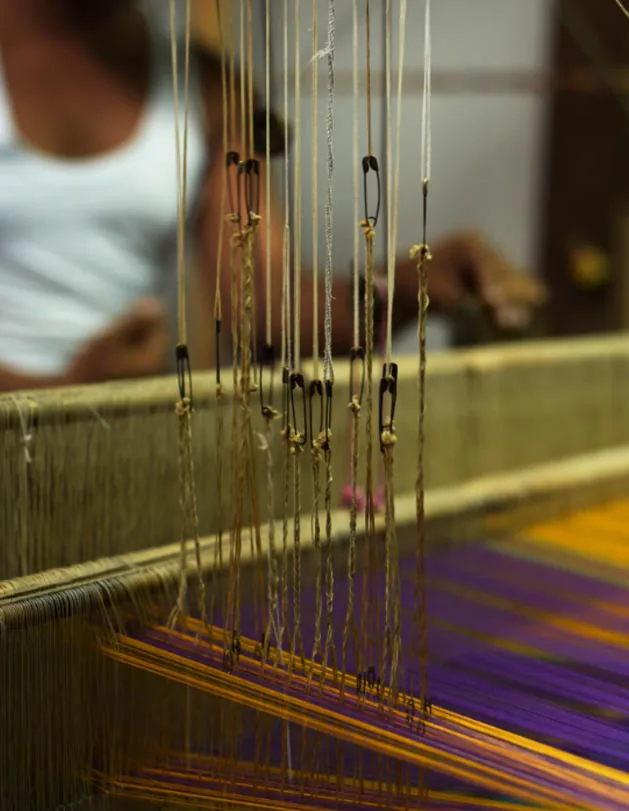 Solapuri Chaddar Textile Craft