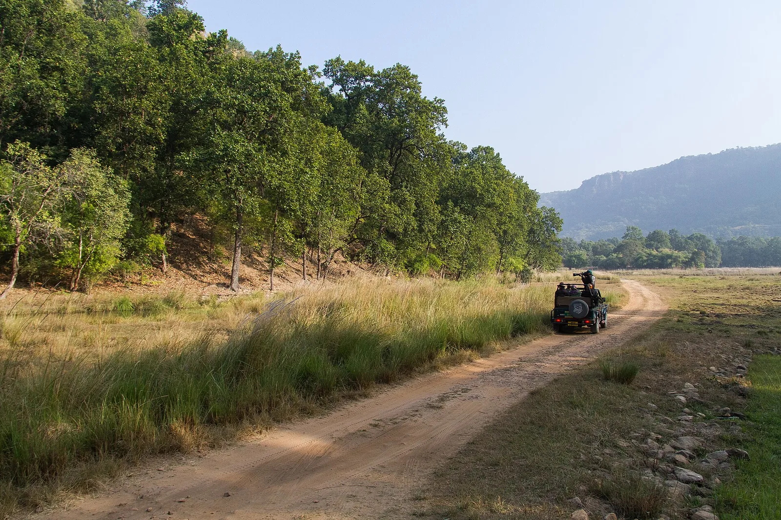 Tala Zone Grasslands Bandhavgarh