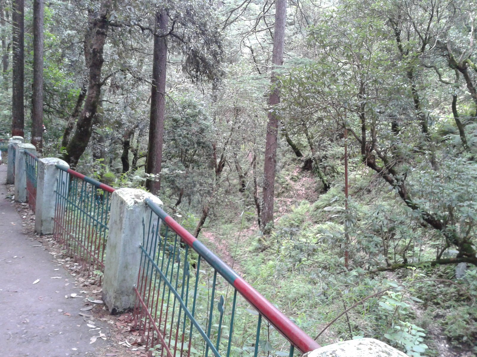Tarkeshwar Mahadev Forest Temple Lansdowne