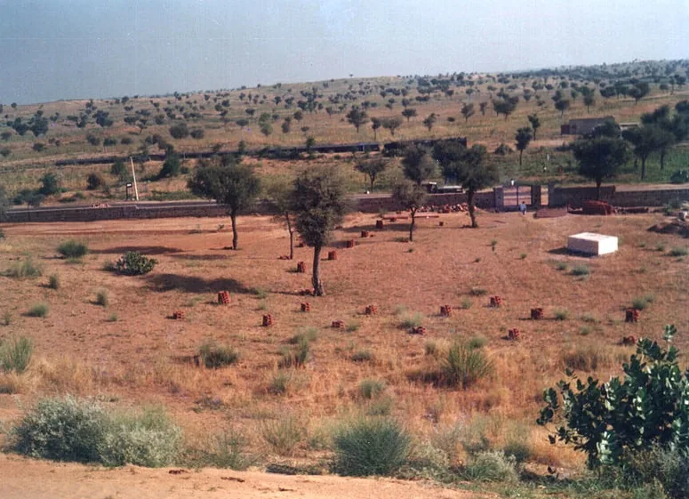 Thar Desert Golden Sand Dunes and Camels